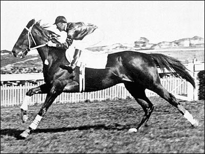 Horse Racing Legends: The Greatest Jockeys of All Time Horse Racing Legends
